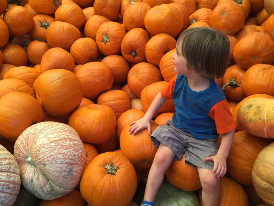 Monterey Market Beyond Efficiency